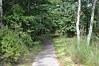 DSC 0561