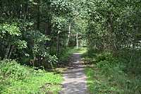 DSC 0562