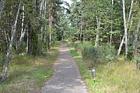 DSC 0565