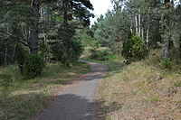 DSC 0566