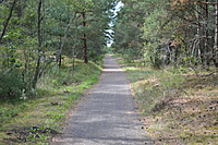 DSC 0570