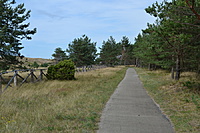 DSC 0572