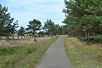 DSC 0573