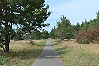 DSC 0575