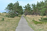 DSC 0578
