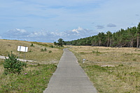 DSC 0579