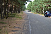 DSC 0581