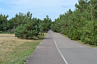 DSC 0587