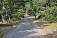 DSC 0588