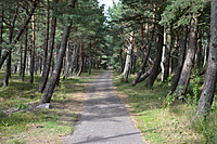DSC 0590