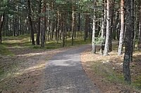 DSC 0596