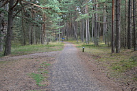 DSC 0598