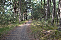 DSC 0599