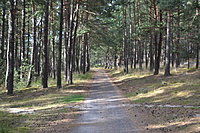DSC 0601