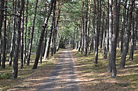 DSC 0602