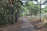DSC 0603