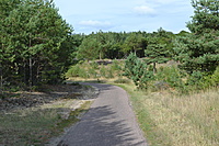 DSC 0606