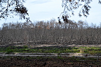 DSC 0611