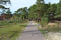 DSC 0612
