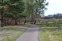 DSC 0613