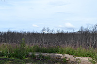 DSC 0614