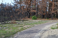 DSC 0615
