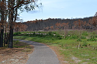 DSC 0616