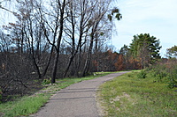 DSC 0618