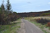 DSC 0620