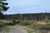 DSC 0621
