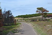 DSC 0622