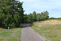 DSC 0624