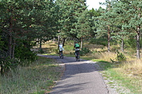 DSC 0625