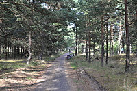 DSC 0626