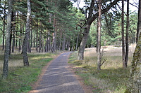 DSC 0628