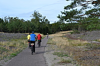 DSC 0630