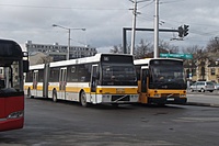 DSCF4243