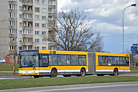 DSC 2448