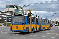 DSC 2460