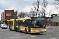 DSC 2462