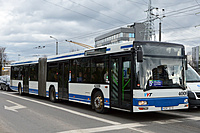 DSC 2467