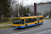 DSC 2482
