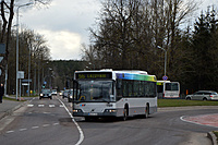 DSC 2484