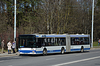 DSC 2503
