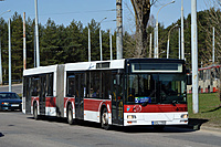 DSC 2517