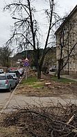 20150421 122603