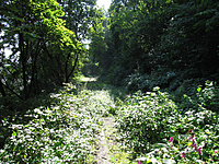 IMG 5437