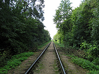 IMG 5450