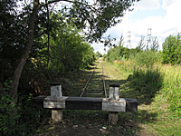 IMG 5458