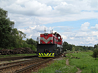 IMG 5460